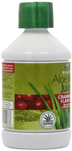 MADALBAL - JUGO ALOE VERA 2 ARANDANOS 500