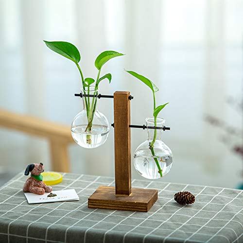 Magiin Florero de Vidrio Macetero con Soporte de Madera Jarrón de Vidrio Transparente para Jardinería Planta de Hidroponía Decoración de Escritorio Casa Boda (B)