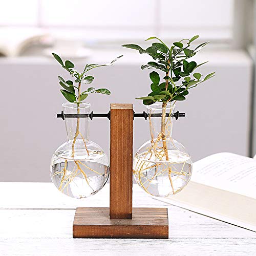 Magiin Florero de Vidrio Macetero con Soporte de Madera Jarrón de Vidrio Transparente para Jardinería Planta de Hidroponía Decoración de Escritorio Casa Boda (C)