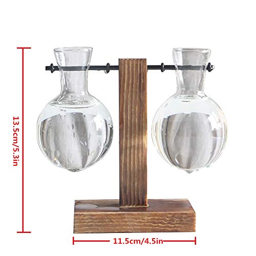 Magiin Florero de Vidrio Macetero con Soporte de Madera Jarrón de Vidrio Transparente para Jardinería Planta de Hidroponía Decoración de Escritorio Casa Boda (C)