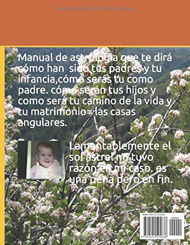 Manual de astrologia. cómo hubiera sido tu vida ( tomo 4 las casas angulares y la casa cinco): Manual de astrologia (cómo hubiese sido tu vida)
