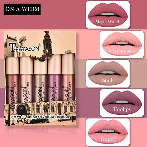 MAOJIE 5pcs Set De LáPiz Labial LíQuido Mate Impermeable Mini Brillo De Labios De Larga DuracióN Copa Antiadherente LáPices Labiales Caja De Regalo