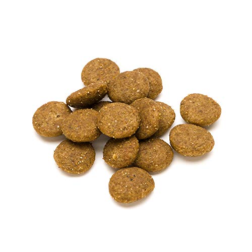Marca Amazon - Lifelong Complete- Alimento seco completo para perros perros adultos con salmón y arroz, 1 x 5 kg