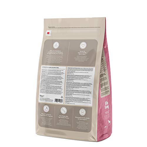 Marca Amazon - Lifelong Complete- Alimento seco completo para perros perros adultos con salmón y arroz, 1 x 5 kg