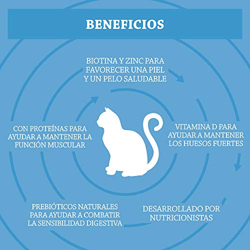 Marca Amazon - Solimo - Alimento seco completo para gatos adultos con salmón, atún y verduras, 1 Pack de 3 kg