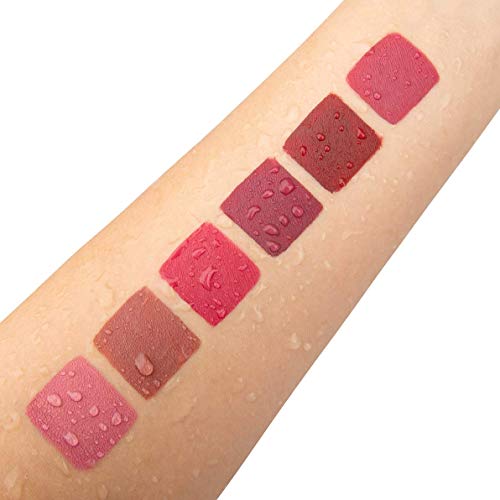 Matte Liquid Lipstick Set, 6 Pcs Superstay Mate Ink Waterproof Lip Gloss Beauty Lips Makeup Set (6 PCS NUDE)