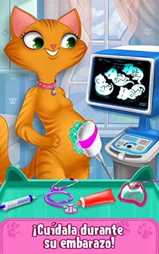 Mi gatito recién nacido – Peludo Cuidado