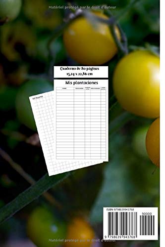 Mi huerto urbano en permacultura: huerto permacultura, huerto urbano y huerto en casa