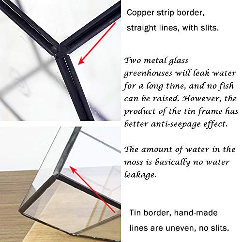 MINGZE terrario geométrico, Cristal, para Plantas suculentas, del Botánico, de la Boda, Tabla (15.5 * 15.5 * 20.5CM, Dorado El Cobre)