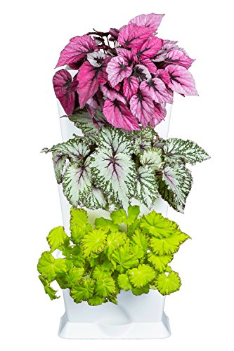 minigarden 1 Juego One para 3 Plantas, Jardín Vertical Modular y Extensible, Colocar en el Suelo o Colgar en la Pared, Mecanismo de Drenaje Innovador, Largo Ciclo de Vida (Blanco)