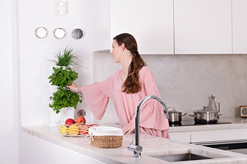 minigarden 1 Juego One para 3 Plantas, Jardín Vertical Modular y Extensible, Colocar en el Suelo o Colgar en la Pared, Mecanismo de Drenaje Innovador, Largo Ciclo de Vida (Blanco)