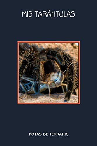 Mis tarántulas notas de terrario: Brachypelma Albopilosum con presa, notas de terrario, regalo para los aficionados a las arañas. Formato A5, 120 ... Notas para los amigos de la araña, cuaderno