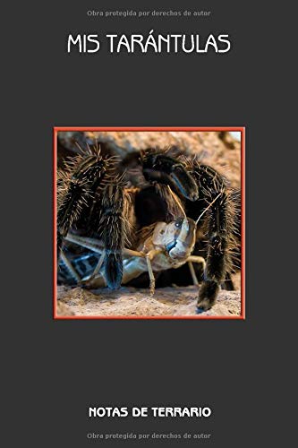 Mis tarántulas notas de terrario: Brachypelma Albopilosum, tarántula de pelo rizado, cuaderno para los amigos de la tierra, regalo para los amigos de ... claras. Notas para los amigos de la araña