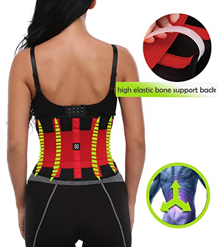 MISS MOLY Waist Shaper|Adelgazante Waist Trainer Training Corset Deportivo Shaper Moldeadora Faja Reductora Cintura Corsé Slimming Belt Negro/Rojo/Azul/Naranja