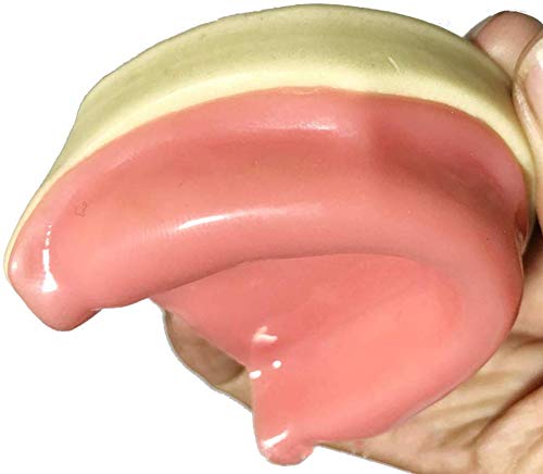 Modelo de dientes dentales LXX, modelo de odontología oral edéntulo maxilar modelo de entrenamiento de demostración modelo de diente para el traje de educación del paciente para el dentista