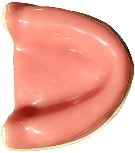 Modelo de dientes dentales LXX, modelo de odontología oral edéntulo maxilar modelo de entrenamiento de demostración modelo de diente para el traje de educación del paciente para el dentista