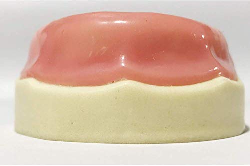 Modelo de dientes dentales LXX, modelo de odontología oral edéntulo maxilar modelo de entrenamiento de demostración modelo de diente para el traje de educación del paciente para el dentista