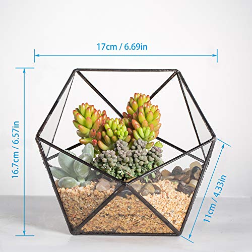 Moderno terrario poliédrico triangular de cristal, de fabricación artesanal, para plantas suculentas, bonsáis o cactus