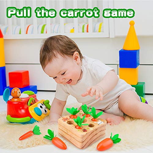 Montessori Juguetes 1 2 3 Año Bebe, Juguetes Madera 1 2 3 Años Bebe Niños Regalo de Cumpleaños para Bebé de 1-3 Años Niñas Niños Juguete Educativo 1 2 3 Años Bebé Clasificación Juego de Rompecabezas