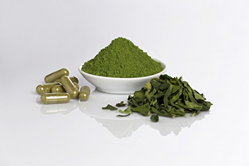 Moringa Ecológica en Polvo 150 gramos