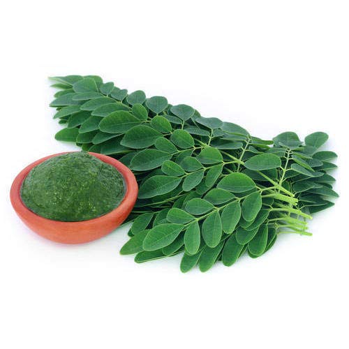 Moringa (Moringa oleifera) 150 gramos en bolsita de aroma (hoja fino, secado)