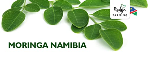 Moringa Namibia