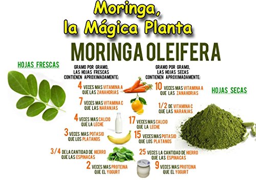 MORINGA OLEIFERA COMPLEX 4.000 mg. 2 x 60 Cáps. NATURE ESSENTIAL