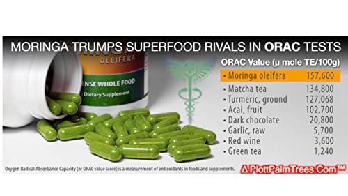 MoringaSOP App From Moringa Kingdom™ PLOTTPALMTREES.COM TOOL