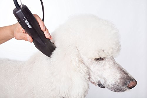 Moser MAX 50, Maquina Cortapelo para Animales, Negro