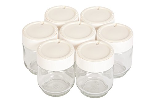 Moulinex Yogurteo Yogurtera, 13 W, 1.12 litros, 0 Decibelios, Plástico, Plateado