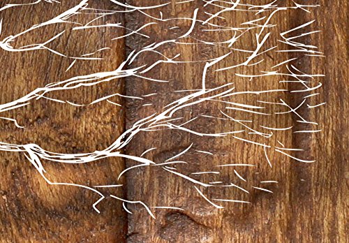 murando - Cuadro en Lienzo 100x50 cm Impresión de 5 Piezas Material Tejido no Tejido Impresión Artística Imagen Gráfica Decoracion de Pared Arbol Bosque Abstracto Klimt b-C-0046-b-n