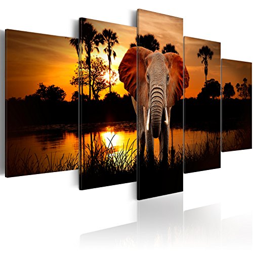 murando - Cuadro en Lienzo 200x100 - Impresión de 5 Piezas Material Tejido no Tejido Impresión Artística Imagen Gráfica Decoracion de Pared Paisaje frica Animal Elefante g-C-0024-b-m