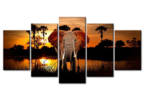 murando - Cuadro en Lienzo 200x100 - Impresión de 5 Piezas Material Tejido no Tejido Impresión Artística Imagen Gráfica Decoracion de Pared Paisaje frica Animal Elefante g-C-0024-b-m