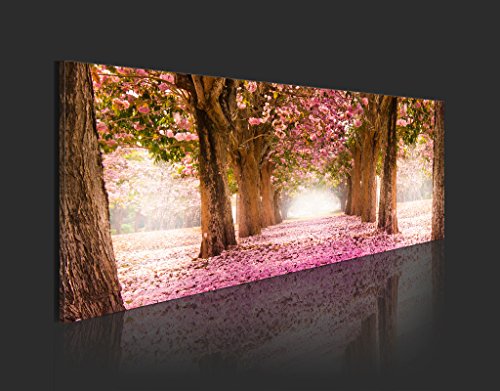 murando Cuadro en Lienzo Bosque Flores 135x45 cm 1 Parte impresión en Material Tejido no Tejido Cuadro de Pared impresión artística fotografía gráfica decoración Naturaleza Paisaje c-A-0052-b-b