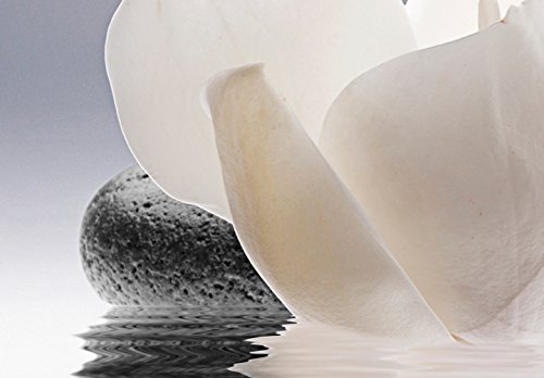 murando Cuadro en Lienzo Flores SPA 100x45 cm 1 Parte Impresión en Material Tejido no Tejido Impresión Artística Imagen Gráfica Decoracion de Pared Piedras Zen b-B-0267-b-a