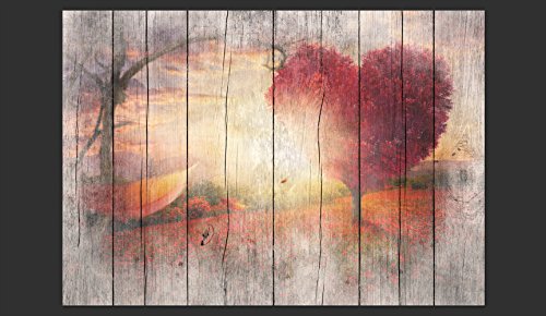 murando Fotomurales Madera Optico 400x280 cm XXL Papel pintado tejido no tejido Decoración de Pared decorativos Murales moderna de Diseno Fotográfico Paisaje Arbol Corazon f-C-0175-a-a