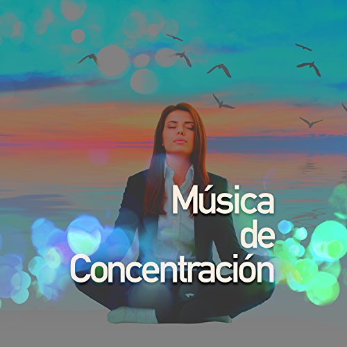 Música de Concentración