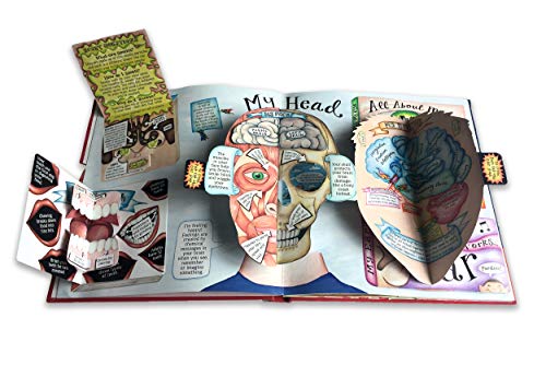 My Pop-Up Body Book