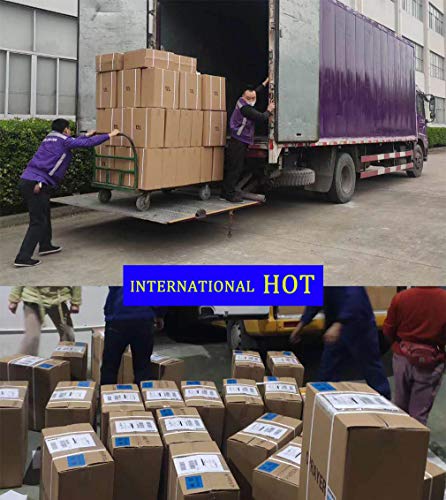 MZYKA Máquina portátil de nebulización por nebulización por desinfección ULV con pulverizador eléctrico, purificador de Aire, 5 a 50 μm, Distancia de pulverización de 6-8 m, Blanco,10L