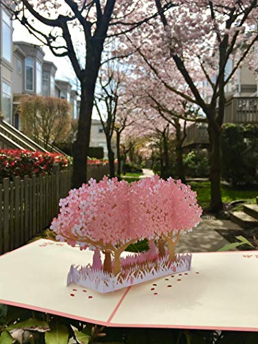 Nahuaa Tarjeta Regalo de 3D Pop-up Tarjeta de Felicitación de Flor de cerezo Tarjeta Cumpleaños Tarjeta de Boda Invitación con Sobre para Acción de Gracias aniversario Navidad Día de San Valentín