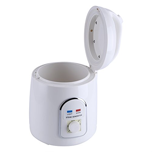 Naroote Generador de Vapor Saunas, 1.5-1.8L 110V/220V Generador de Vapor portátil para el hogar Saunas Steamer Pot(UE, 220V)