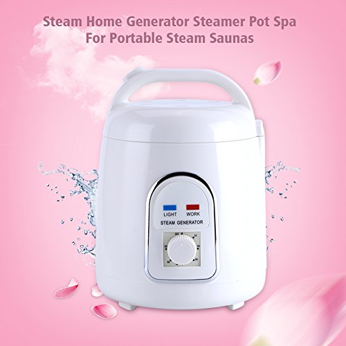 Naroote Generador de Vapor Saunas, 1.5-1.8L 110V/220V Generador de Vapor portátil para el hogar Saunas Steamer Pot(UE, 220V)