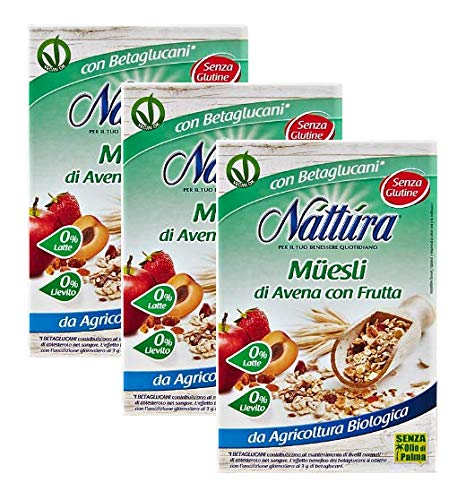 Nattura Natillas de Avena con Frutas sin gluten Ricas en fibras con betaglucanos Fuente de Proteína sin Leche Sin Levadura Sin Azúcar Agregada Sin Aceite de Palma Vegan OK - (3 x 300 Gram)