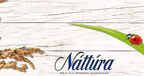 Nattura Natillas de Avena con Frutas sin gluten Ricas en Fibras con betaglucanos Fuente de Proteína sin Leche Sin Levadura Sin Azúcar Agregada Sin Aceite de Palma Vegan OK - (6 x 300 Gram)