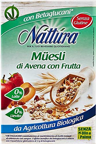 Nattura Natillas de Avena con Frutas sin gluten Ricas en Fibras con betaglucanos Fuente de Proteína sin Leche Sin Levadura Sin Azúcar Agregada Sin Aceite de Palma Vegan OK - (6 x 300 Gram)
