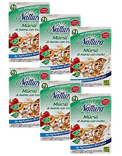Nattura Natillas de Avena con Frutas sin gluten Ricas en Fibras con betaglucanos Fuente de Proteína sin Leche Sin Levadura Sin Azúcar Agregada Sin Aceite de Palma Vegan OK - (6 x 300 Gram)