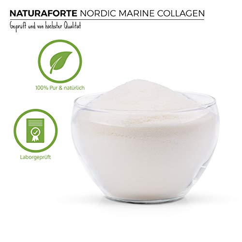 NaturaForte Colágeno Marino Hidrolizado 300g. Natural, Sin Azúcar, Sin Grasa, Sin Colesterol. Ayuda a Reducir los Signos de Envejecimiento.