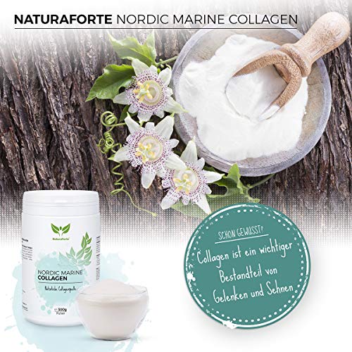 NaturaForte Colágeno Marino Hidrolizado 300g. Natural, Sin Azúcar, Sin Grasa, Sin Colesterol. Ayuda a Reducir los Signos de Envejecimiento.