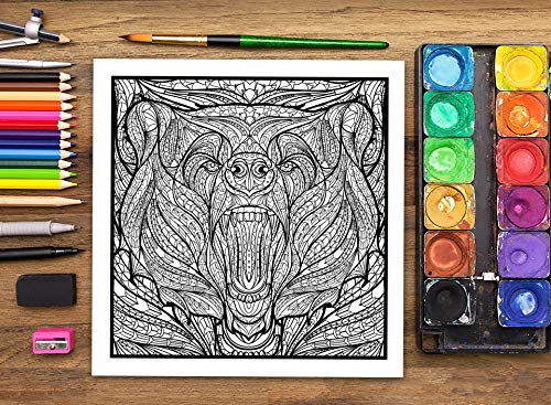 Naturaleza Viva 3: Libro De Colorear Para Adultos