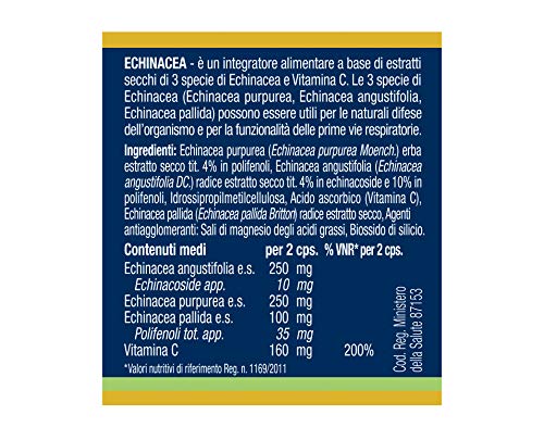 Naturando - Equinácea 40 Cápsulas Vegetales Complemento Alimenticio Para Las Defensas Naturales Del Cuerpo